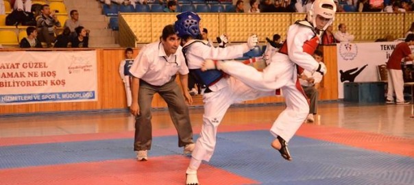 Taekwondo